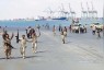اخبار اليمن – عاجل الوية العمالقة وحراس الجمهورية يدخلون ميناء الحديدة – فيديو
